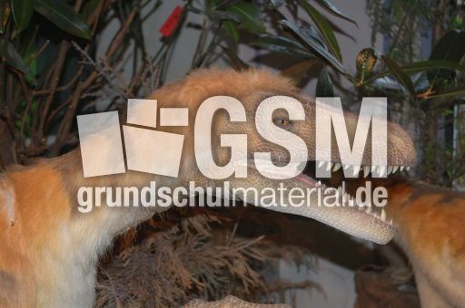 gefiederter Saurier3.jpg